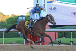 Rumo ao Kentucky Derby, Renegade destrói seus rivais em Oaklawn Park
