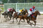 23º GP Turfe Paranaense acontece no final de semana