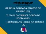 Balizamento – GP Zélia G. P. de Castro – Haras Santa Maria de Araras (G1) – III Etapa da Tríplice Coroa de Potrancas