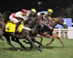 Turfista fatura mais de R$ 75 mil no Pick 7