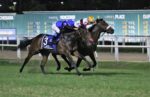 Pedigrees da semana: Meeting do Derby