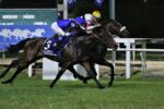 Oderich, o campeão do 95º GP Cruzeiro do Sul – Derby Brasileiro – Haras Santa Maria de Araras (G1)