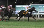 Vivi Magique, a bicampeã do GP Alfredo Grumser (G3)