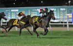 No GP Roberto e Nelson Seabra – Haras Santa Maria de Araras (G1), a promessa de um desfecho empolgante