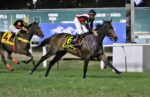 Odalisca domina o GP Zelia Gonzaga P. de Castro – Haras Santa Maria de Araras (G1)