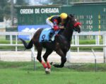 Galeria de Fotos – Confira os vencedores deste DOMINGO (12/04) no JCB