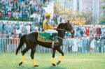Derby 2026 – Curiosidades – Proprietários