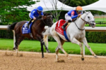 Um show de White Abarrio no Oaklawn Handicap (G2)