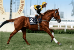 Veja aqui algumas fotos, restauradas por IA, dos craques do Haras Santa Ana do Rio Grande