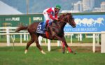 Paid In Full, líder absoluto com fácil triunfo no GP Conde de Herzberg (G2)