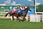 Party Anthem supera Wild Queen no GP Adayr Eyras de Araújo (G3)