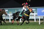 Equilíbrio é a tônica na milha do GP Presidente da República – Haras Legacy(G1)