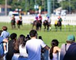 Handicap é atração entre os 18 páreos da Gávea