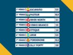 Resumo: Resultados da reunião de 31/05/2026 – DOMINGO