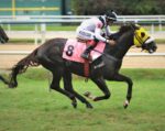 Galeria de Fotos – Confira os vencedores deste DOMINGO (10/05) no JCB