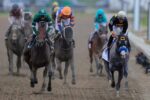 Napoleon Solo conquista o 151º Preakness Stakes (G1)