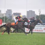 Samurai do Iguassu, montado por João Victor, o melhor no GP Presidente da República (G2)