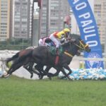 Quero Te Mucho, o campeão do 103º GP São Paulo (G1)
