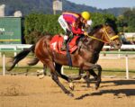 Galeria de Fotos – Confira os vencedores deste DOMINGO (28/06) no JCB