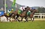 Zucca Baby, para sempre o campeão do 94º GP Brasil (G1)