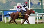 Intense Afleet assume a liderança no GP Francisco V. Paula Machado – TBS International (G2)