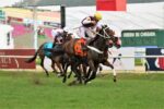 Oh Promise Me brilha no GP Roberto e Nelson Seabra – Haras Santa Maria de Araras (G1)