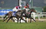 Eletrizante Dollar bate Pajama Party no GP Major Suckow – Haras Niju (G1)