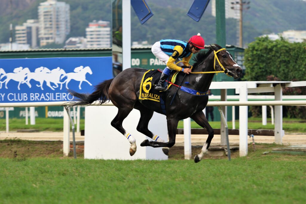 Naturalizada bate os machos no GP ABCPCC – Taça Stud Book Brasileiro – TBS International (G3)