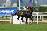 Naturalizada bate os machos no GP ABCPCC – Taça Stud Book Brasileiro – TBS International (G3)