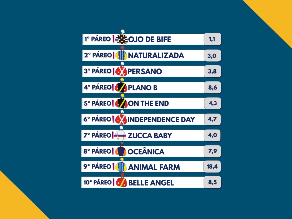 Resumo: Resultados da reunião de 14/06/2026 – DOMINGO