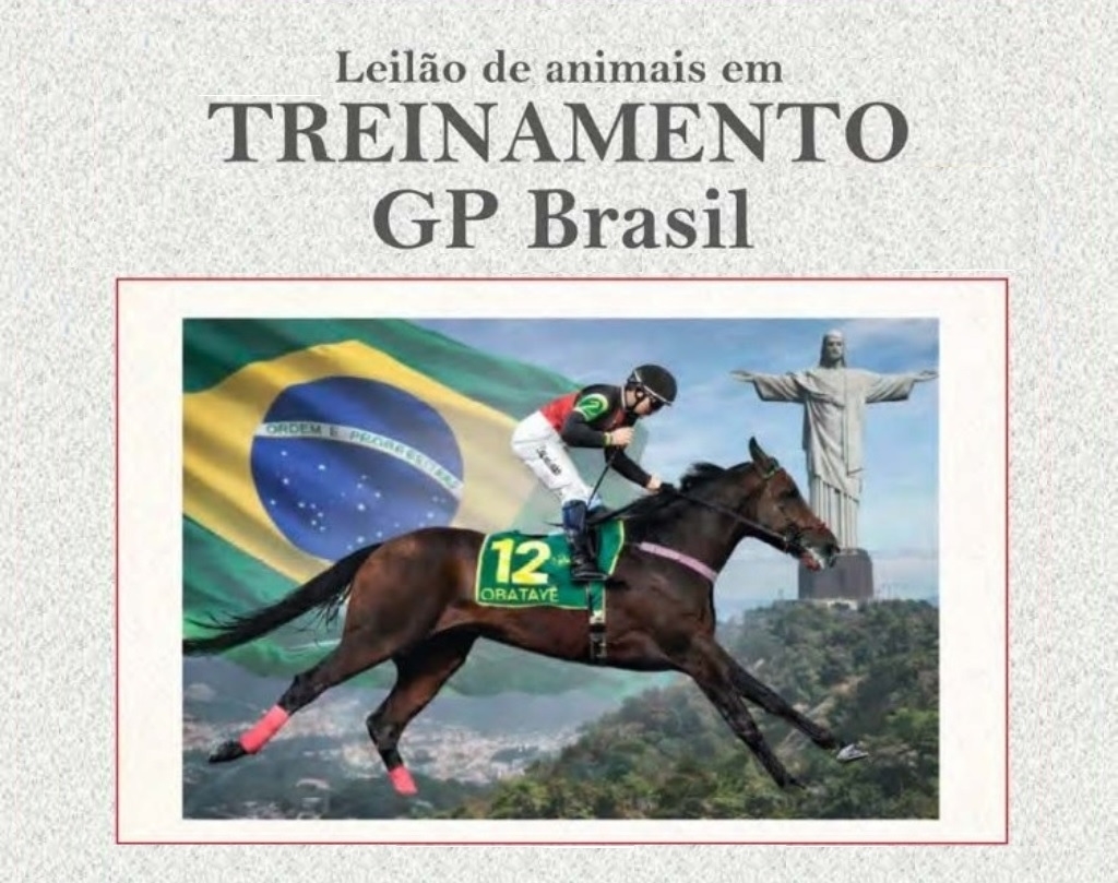 TBS: Nesta terça (09), Leilão de Animais em Treinamento do GP Brasil