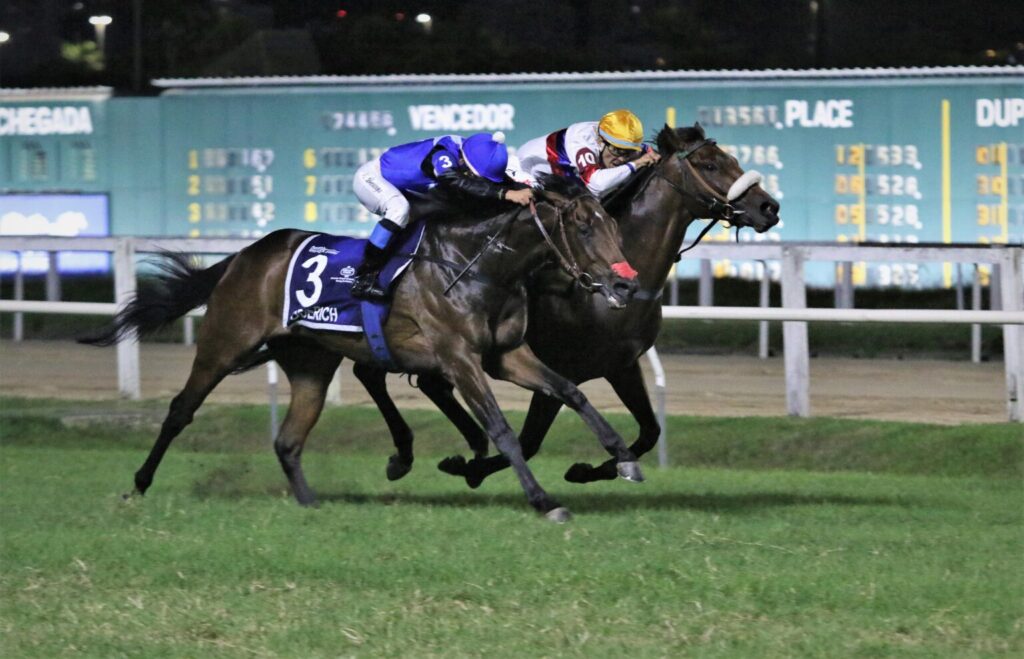 94º GP Brasil (G1), a mais aguardada prova do ano