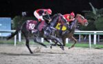 Turfista leva mais de R$ 26 mil do Betting 4 EX