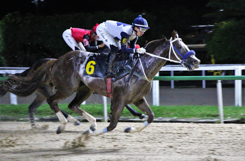 Outro turfista fatura mais de R$ 26 mil no Betting 4 EX