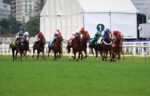 G2 e Listed em destaque na Gávea