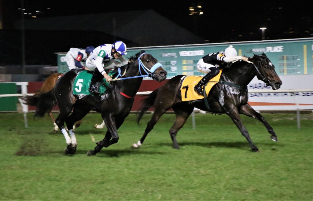 Omaha Beach domina o Handicap Antonio Ricardo